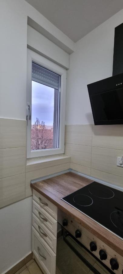 Grove II Apartment = Strict City Centre Novi Sad Exteriör bild